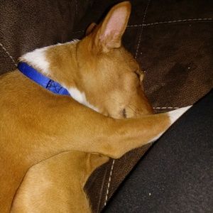 Meet your Posher, Serena